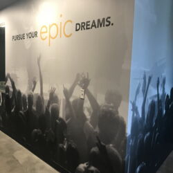 Riot Creative Imaging & Artwallflower LLC - Suede - Epic Recreation - Grand Praire TX - Most Impressive Installation - #ShowUsYourDreams18 Riot Creative Imaging & Artwallflower LLC - Suede - Epic Recreation - Grand Praire TX - Most Impressive Installation - #ShowUsYourDreams18