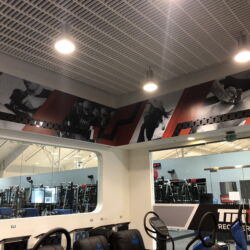 Trinity Graphic USA - Black Flash - Tim Tam Recovery Room IMG Academy 1 Trinity Graphic USA - Black Flash - Tim Tam Recovery Room IMG Academy 1