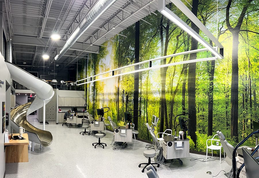 DreamScape Paste or Peel and Stick 40 Visuals